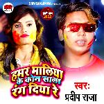 Humara Maliya ke Kon sala Rang diya (Bhojpuri)