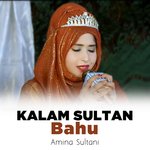Kalam Sultan Bahu