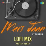 Meri Jaan (Telugu) - Lofi Mix