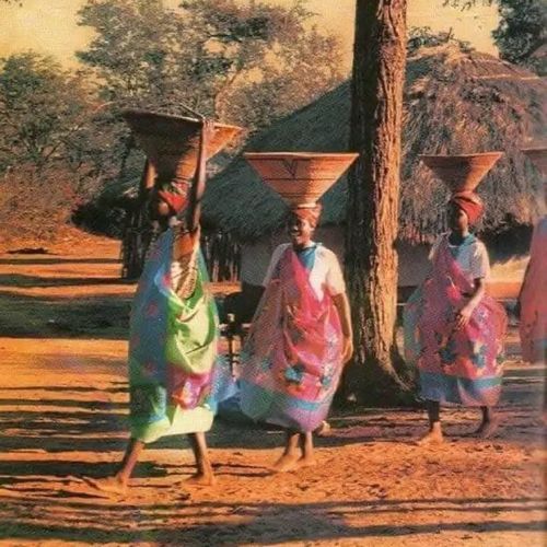 Xinidyaku cover art