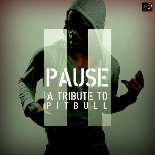 Pause - A Tribute to Pitbull
