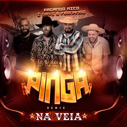 Pinga na Veia (Remix)_poster_image