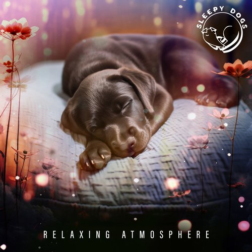 Relaxing Atmosphere_poster_image