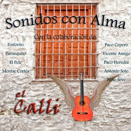 Sonidos Con Alma_poster_image