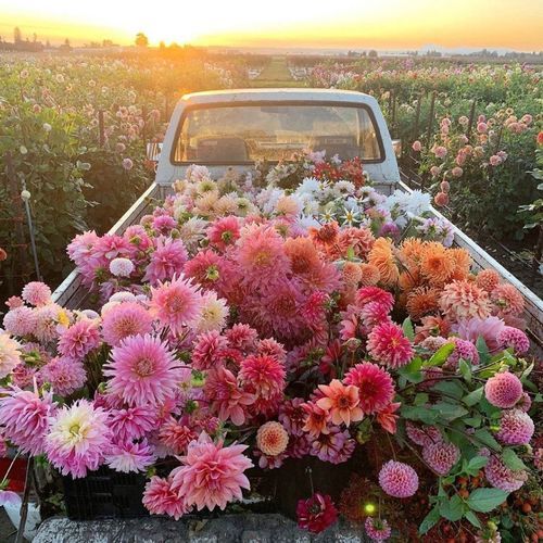 Springtime