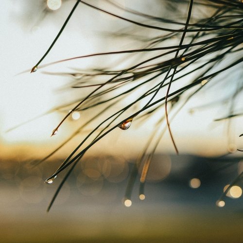 Un Paseo En Invierno cover art