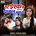 Tere Ishqne Pagal Banaya