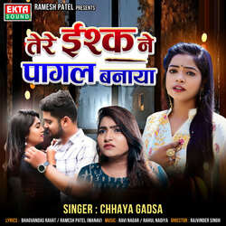 Tere Ishqne Pagal Banaya