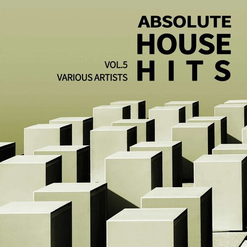 Various Artists - Absolute House Hits Vol.5