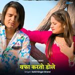Wafa Karto Dole Sahil 3643 artwork