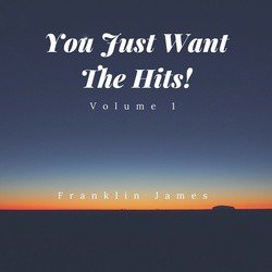You Just Want The Hits. Vol I
