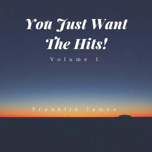 You Just Want The Hits. Vol I_poster_image