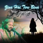 Zina Hai Tere Bina