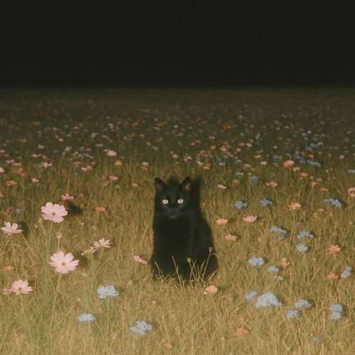 forget me not cover art
