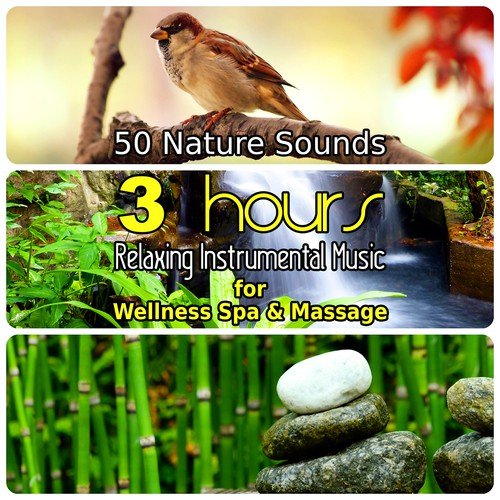 50 Nature Sounds: 3 Hours Relaxing Music for Welness Spa and Massage, Background Instrumental Songs with Singing Birds, Waterfall, Bubbling Brooks & Natural Forest Ambience