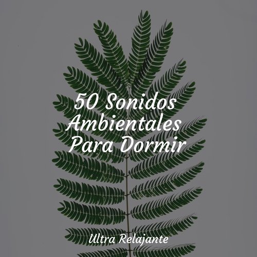 50 Sonidos Ambientales Para Dormir_poster_image