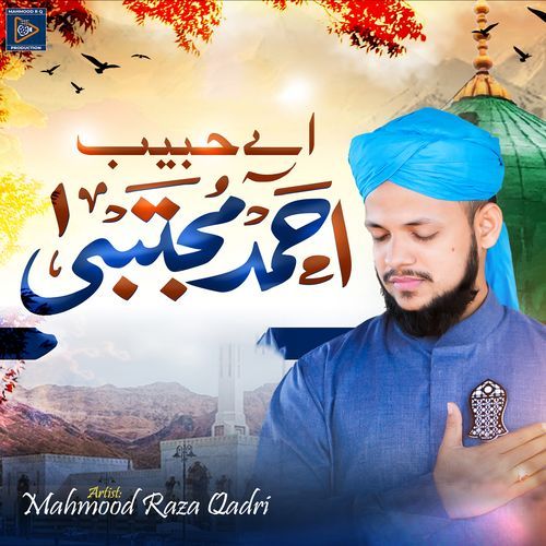 Aye Habibe Ahmade Mujtaba Dile Mubtala Ka Salam Lo Salato Salam