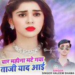 चार महीना मटे गया ताजी याद आई