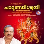 Jaya jaya janani jagan matha