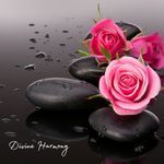 Divine Resonance