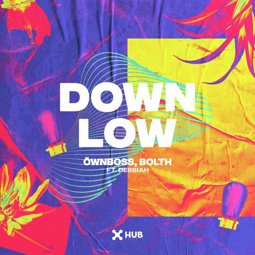 Down Low_poster_image