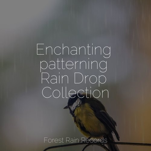 Rain, Storm and Thunder cover art