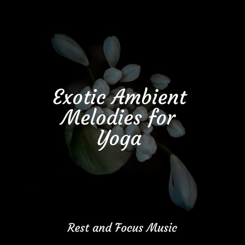 Exotic Ambient Melodies for Yoga