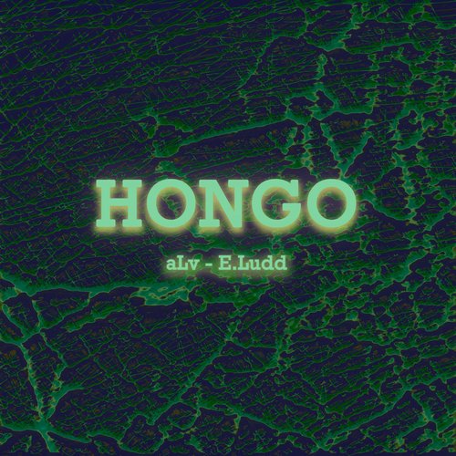 Hongo