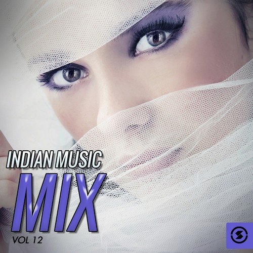 Indian Music Mix, Vol. 12