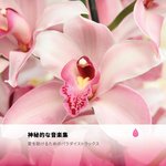 秘密のタントラ呼吸 artwork