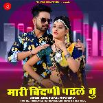 Mari Bindni Padle Tu