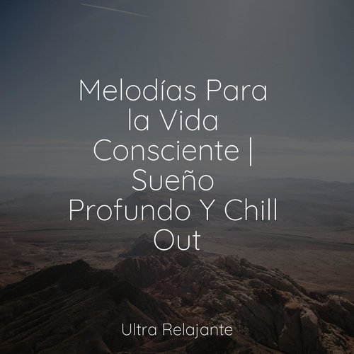 Boutique De Puestas De Sol cover art