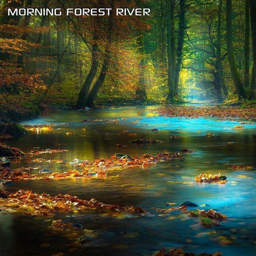 Morning Forest River (feat. Discovery Forest Soundscapes, White Noise Soundscapes, Discovery Nature Sound, Sounds Nature, Discovery Soundscapes & Water White Noise)_poster_image