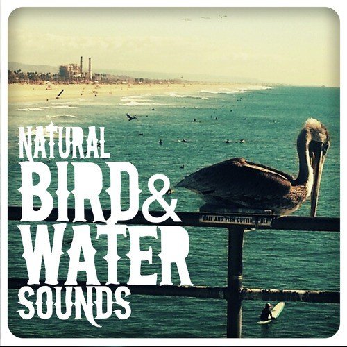 Natural Bird & Water Sounds