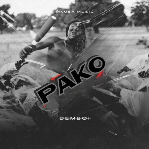 PAKO cover art