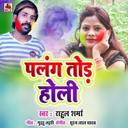 Palang Tod Holi