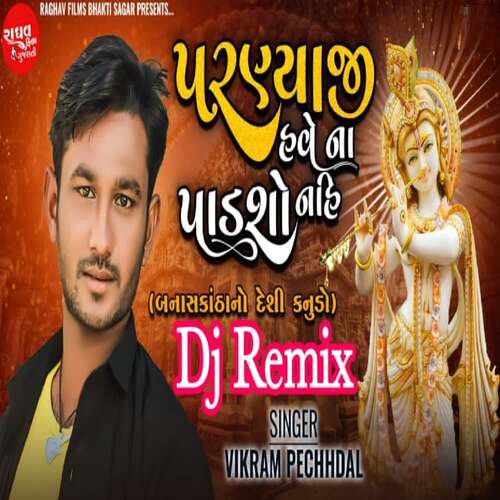 Parnyaji Have Na Padsho Nahi Dj Remix