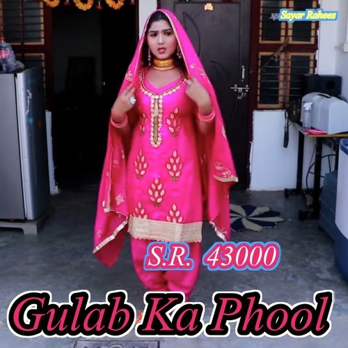 S.R. 43000 Gulab Ka Phool