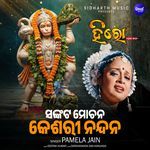Sankata Mochana Keshari Nandana (From "Hero")