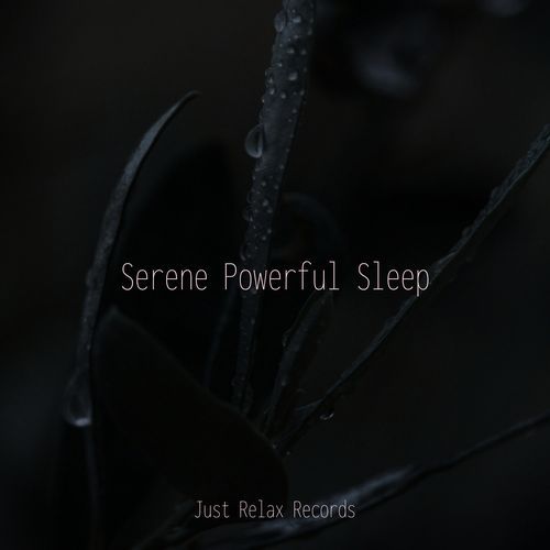 Serene Powerful Sleep