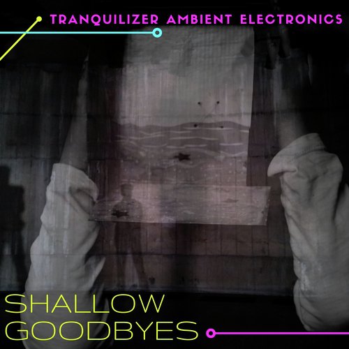 Shallow Goodbyes - Tranquilizer Ambient Electronics