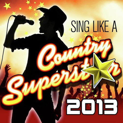 Sing Like a Country Superstar 2013