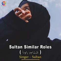 Sultan Similar Roles-B1EqZTBWAXA