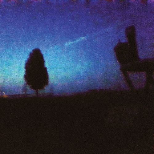 Walking Through the Dark Orchard cover art