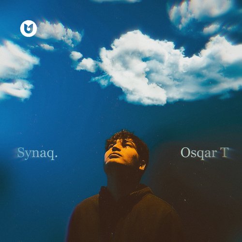 Synaq cover art