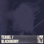 Teasel