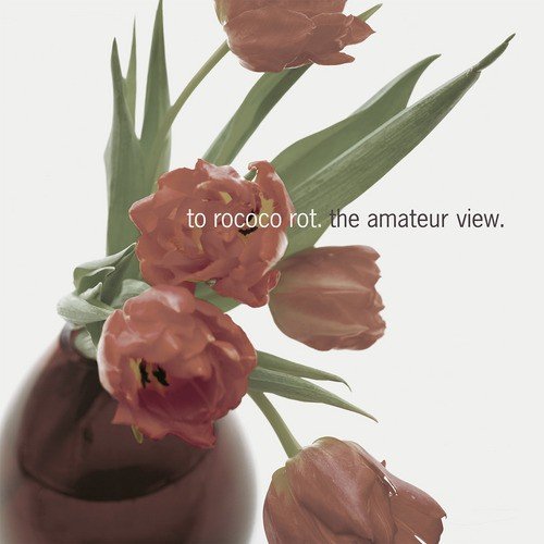 The Amateur View (Deluxe Edition)