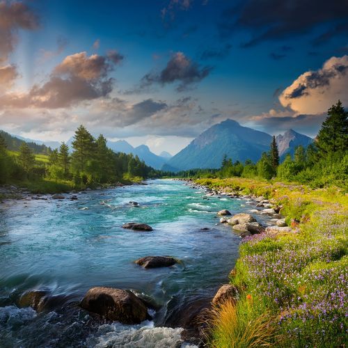 The Brue River cover art
