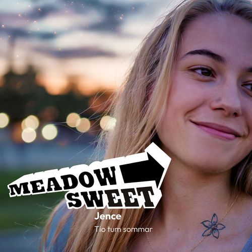 Ensam i sommarnatten