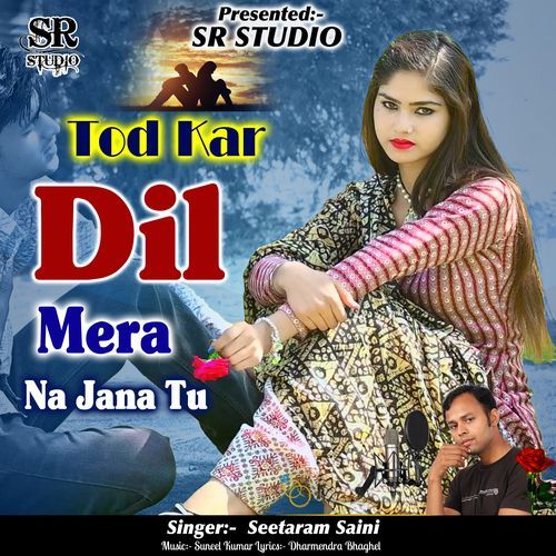Tod Kar Dil Mera Na Jana Tu